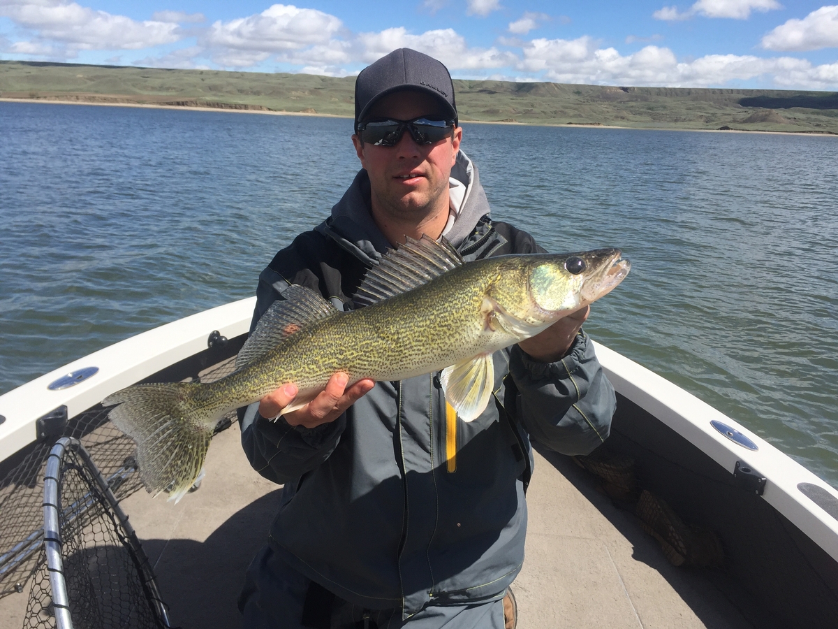 Saskatchewan Fishing Guide Lake Diefenbaker, Saskatchewan Canada Fishing  Outfitters