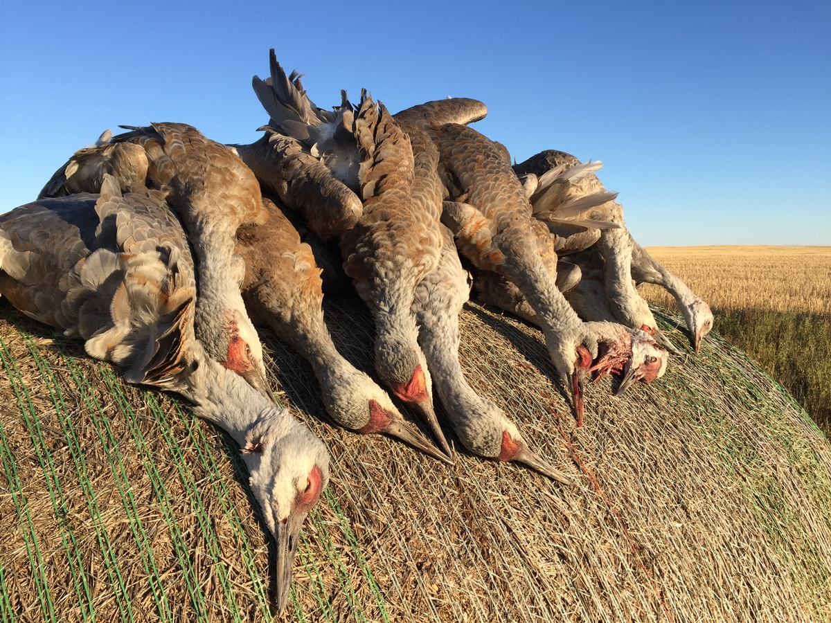 Hunt the Hottest Spot In Saskatchewan